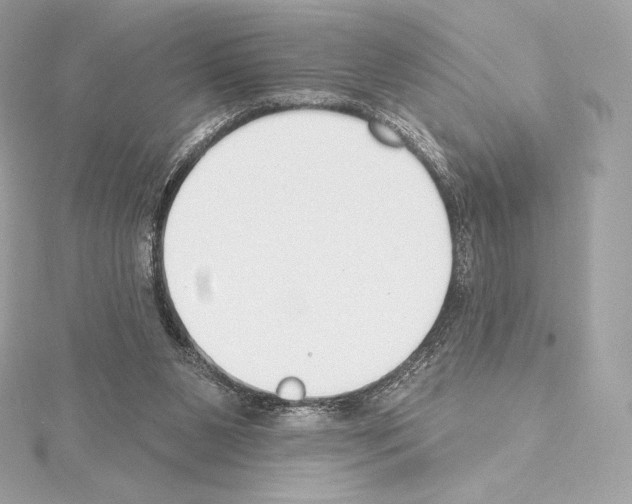 X0000114440111200911271646