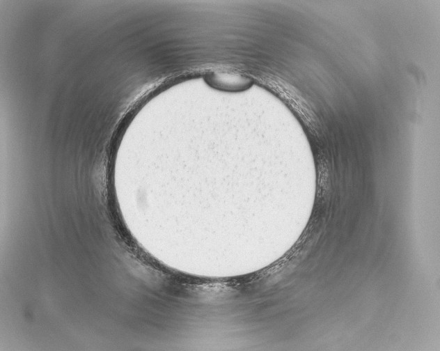 X0000114440112200911271646