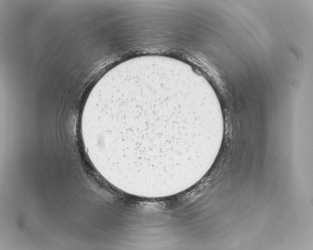 X0000114440115200911271646