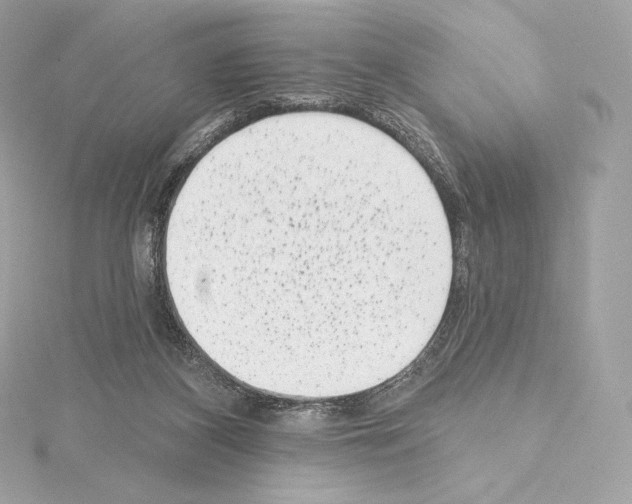 X0000114440116200911271646