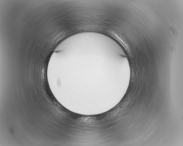 X0000114440117200911271646
