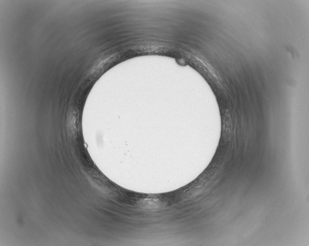 X0000114440119200911271646