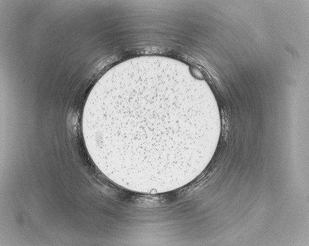 X0000114440123200911271646