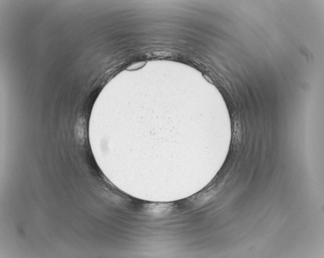 X0000114440135200911271646