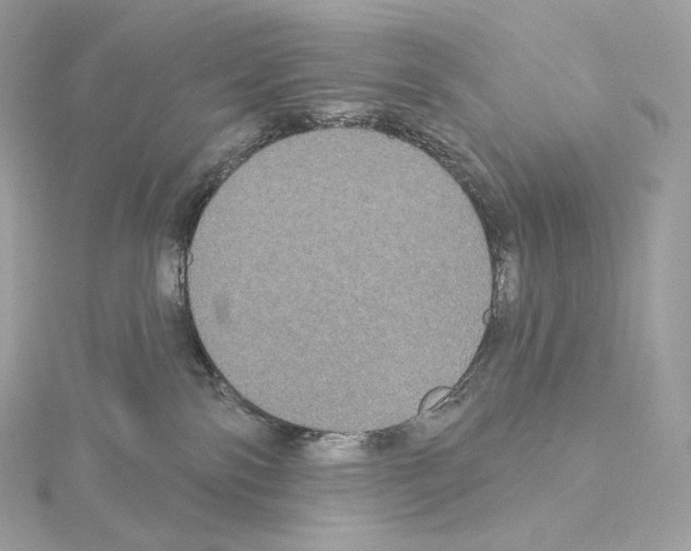 X0000114440138200911271646