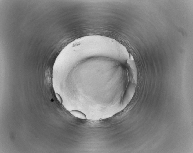 X0000114440143200911271646