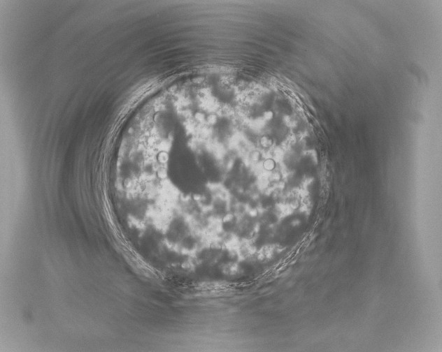 X0000114440145200911271645