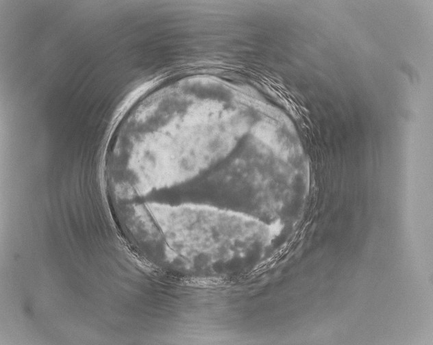 X0000114440147200911271645