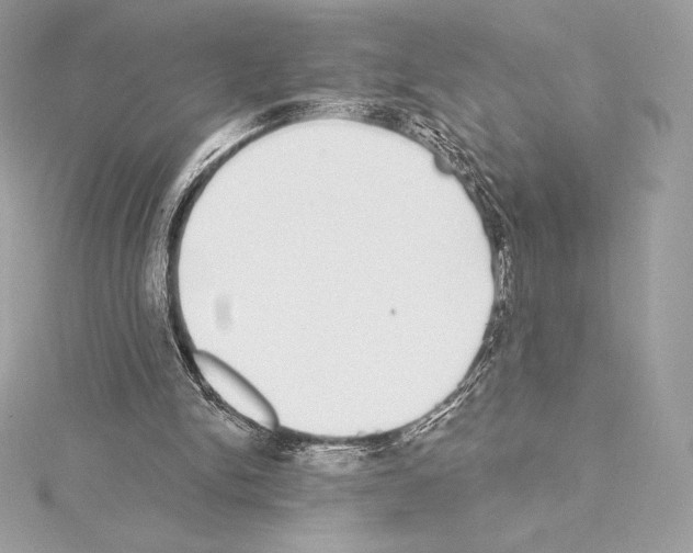 X0000114440150200911271645