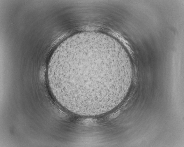 X0000114440153200911271645