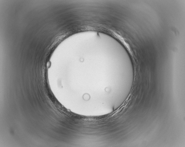X0000114440154200911271645