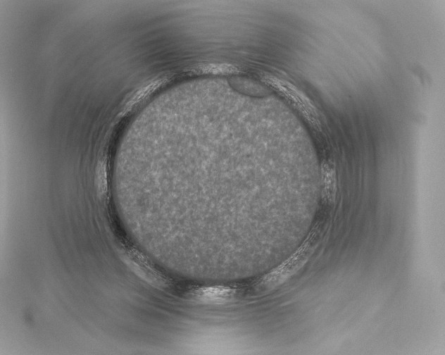 X0000114440158200911271645