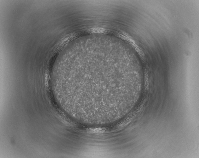 X0000114440161200911271645