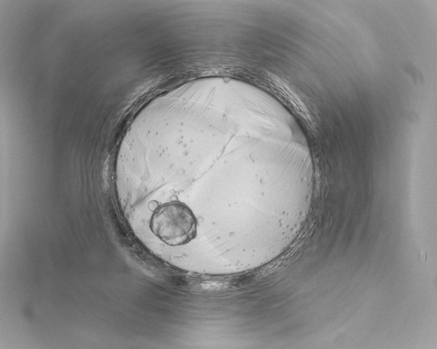 X0000114440163200911271645
