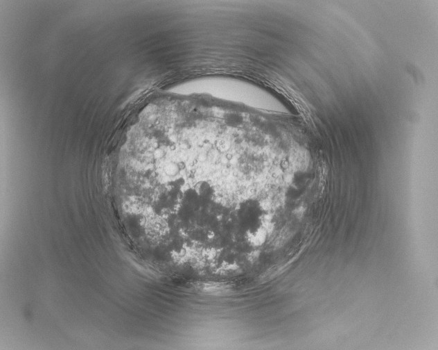 X0000114440165200911271645