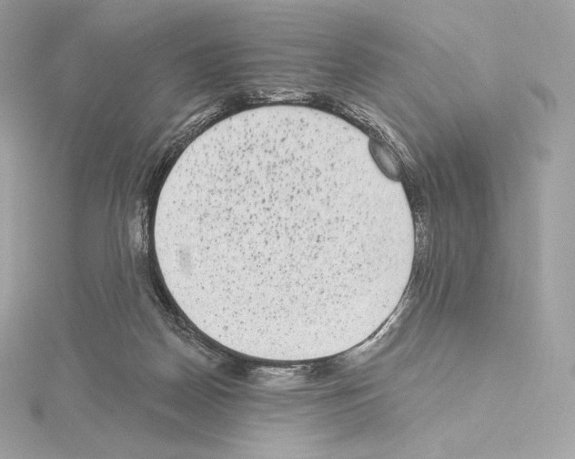 X0000114440170200911271645