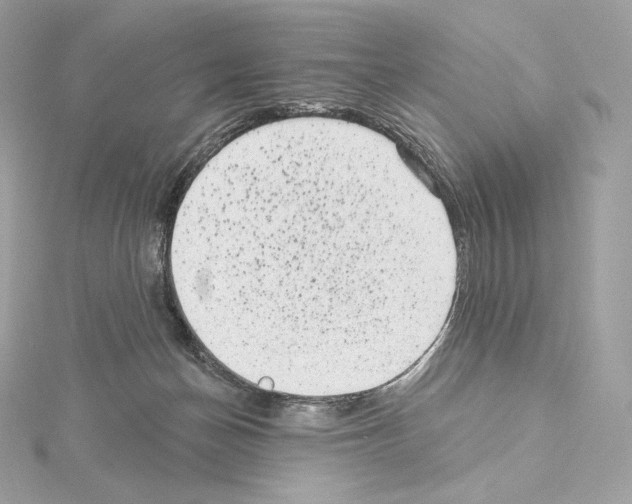 X0000114440174200911271645