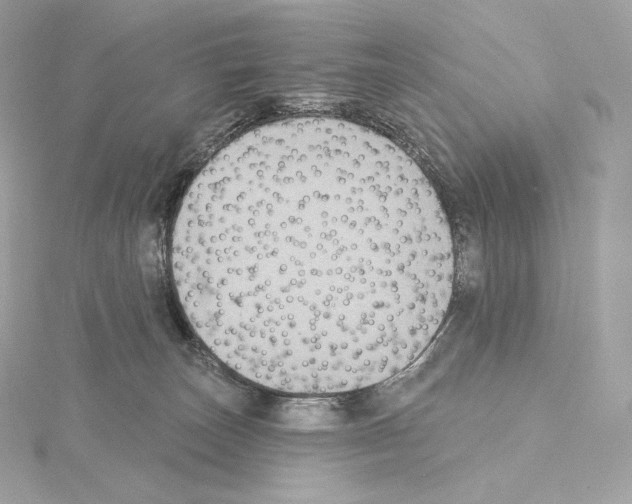 X0000114440179200911271645