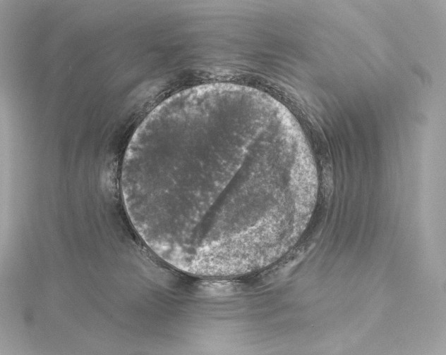 X0000114440181200911271645