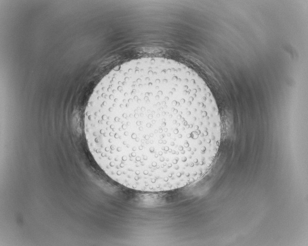 X0000114440187200911271645