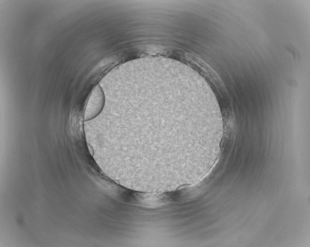 X0000114440191200911271645