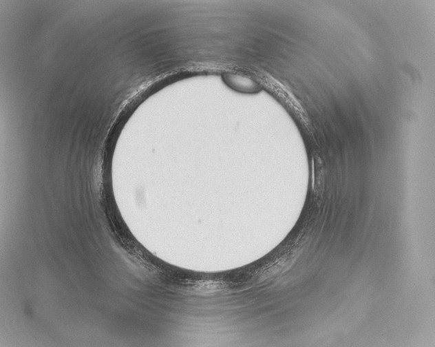 X0000114440204200911271645