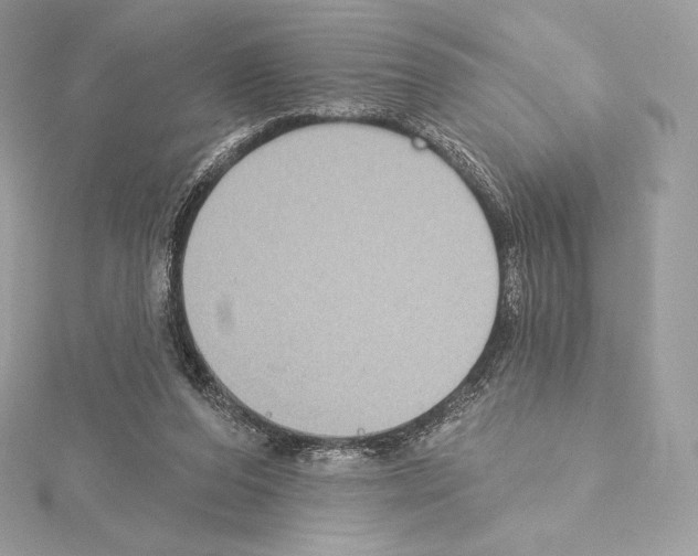 X0000114440208200911271645