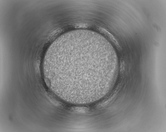 X0000114440209200911271645
