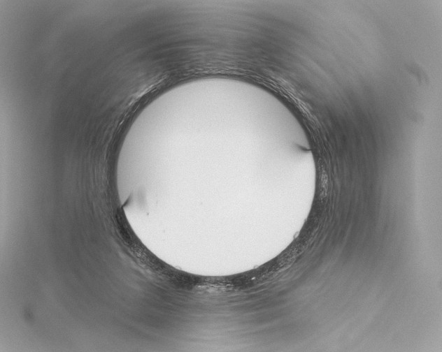 X0000114440211200911271645