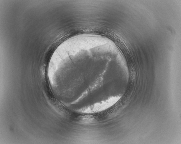 X0000114440214200911271645