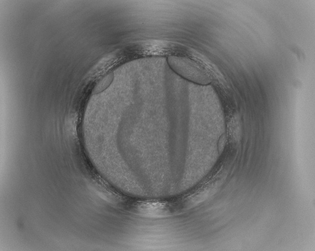 X0000114440217200911271645