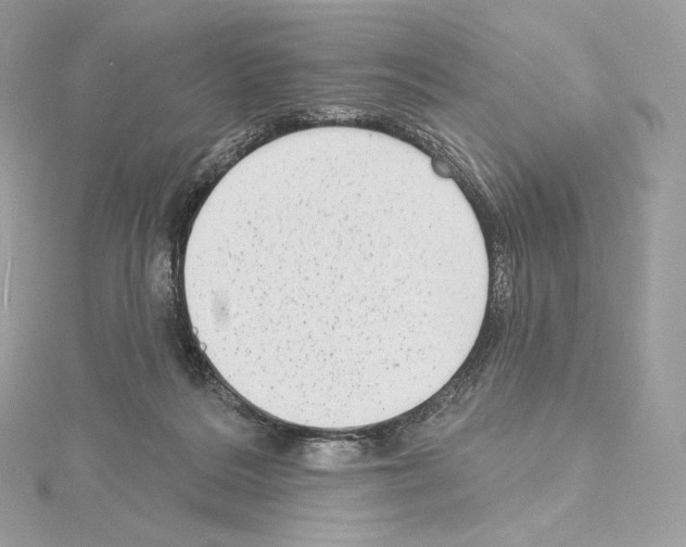 X0000114440220200911271645