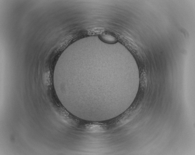 X0000114440224200911271644