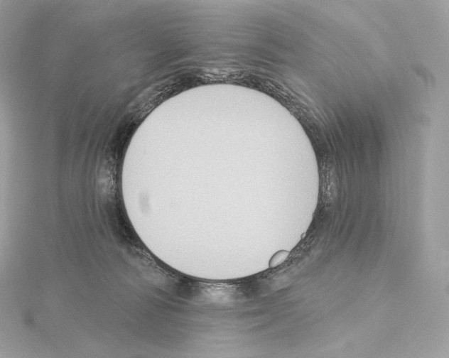 X0000114440226200911271644