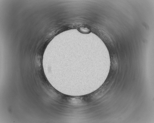 X0000114440232200911271644