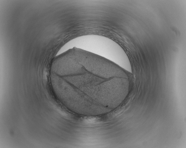 X0000114440235200911271644