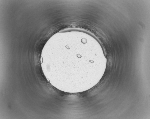 X0000114440236200911271644