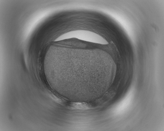 X0000114440239200911271644
