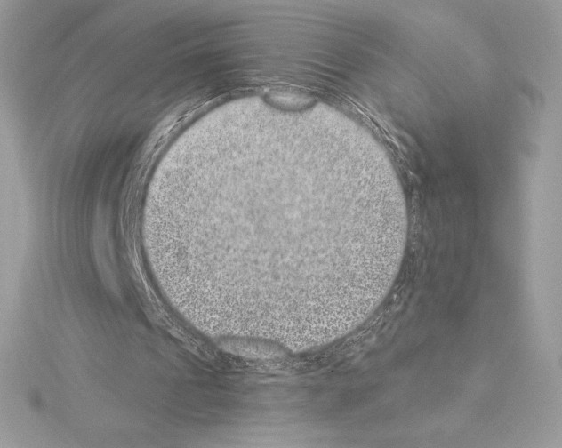 X0000114440241200911271644