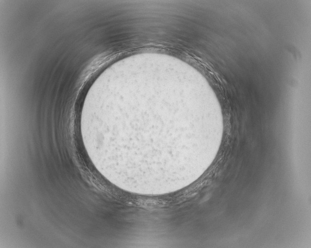 X0000114440242200911271644