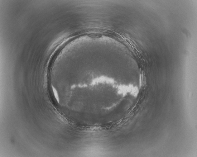 X0000114440243200911271644