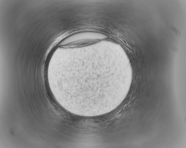 X0000114440244200911271644