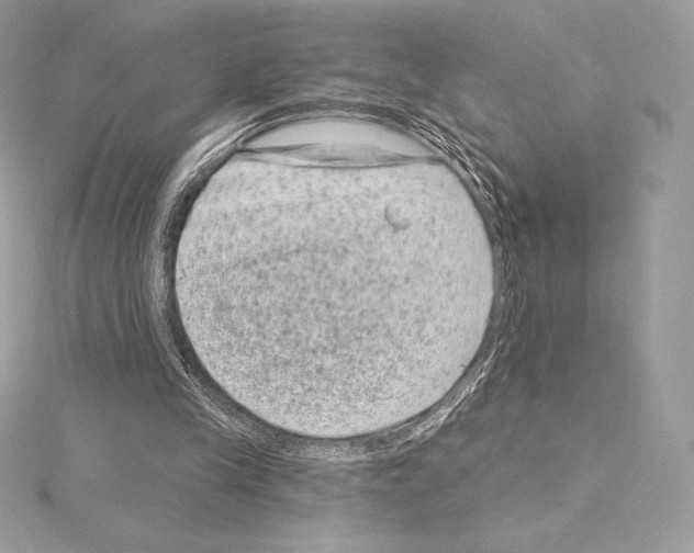 X0000114440245200911271644