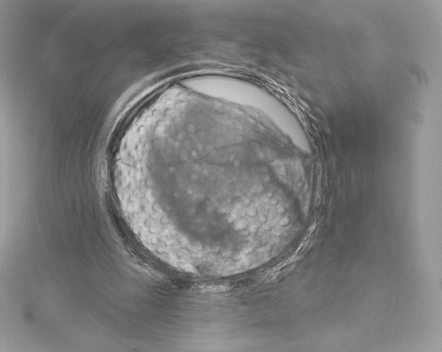 X0000114440247200911271644