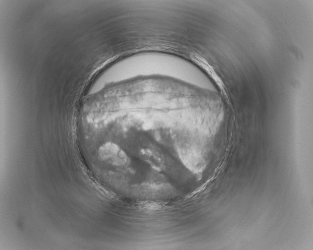 X0000114440249200911271644