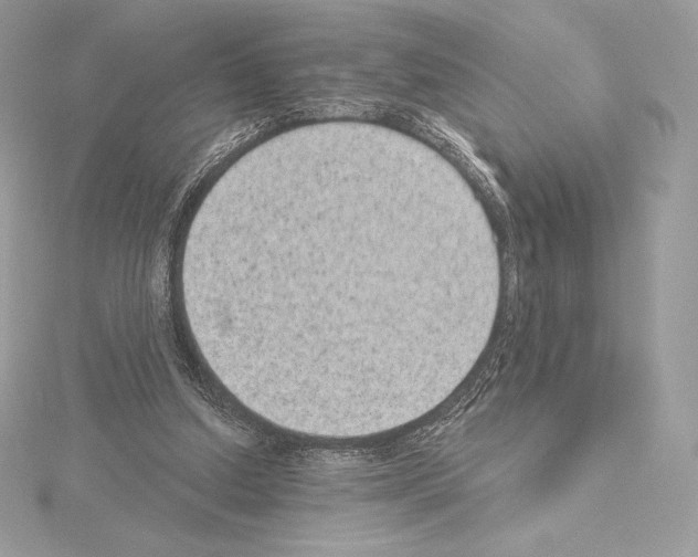 X0000114440250200911271644