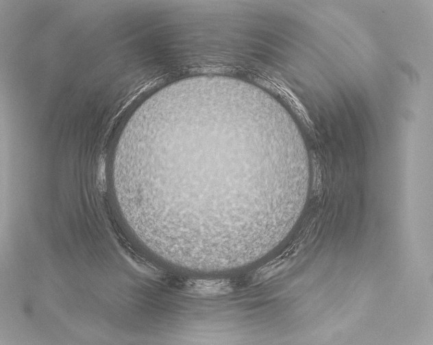 X0000114440251200911271644