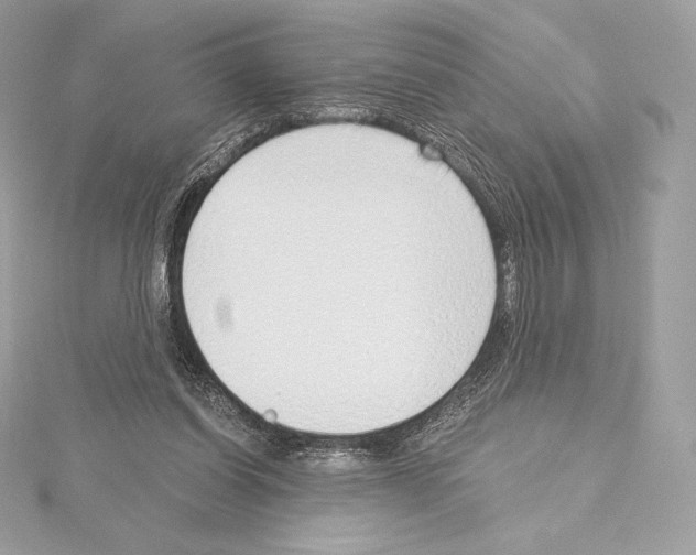 X0000114440254200911271644