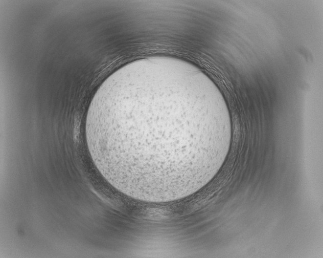 X0000114440255200911271644