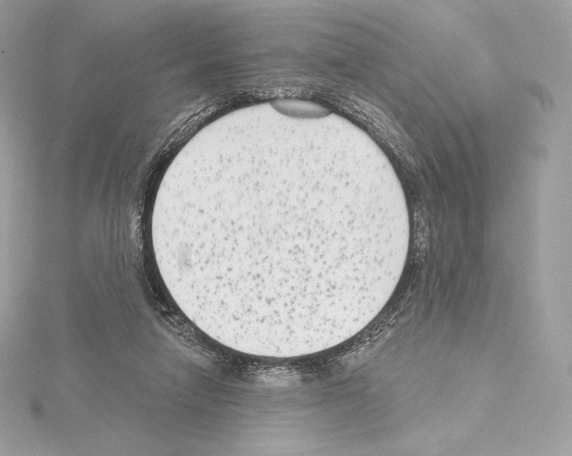 X0000114440258200911271644